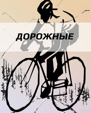 Дорожные велосипеды в Челябинске